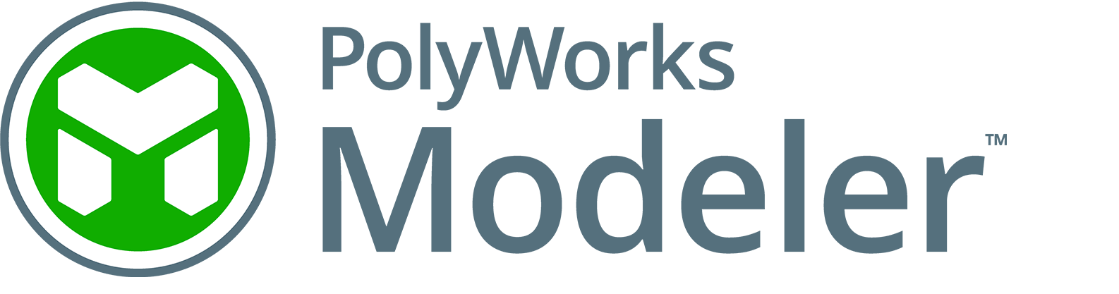 PolyWorks|Modeler logotip
